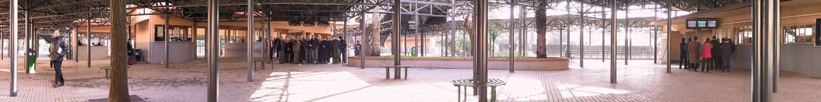 Talenti, 2002, chiesa, 360 × 50 cm, foto Patrizia Bonanzinga e Pietro Mari